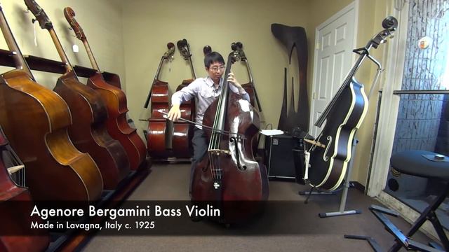 Kolstein Bass Review Agenore Bergamini Bass, Lavagna, Italy c.1925 смотреть онлайн