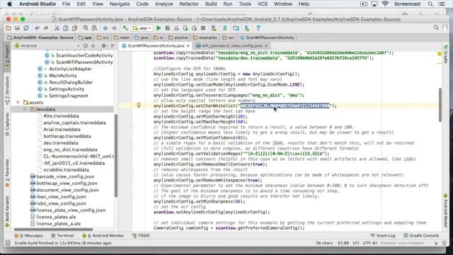 Tutorial #3 –How To Build a Custom Use Case with the Anyline OCR SDK смотреть онлайн