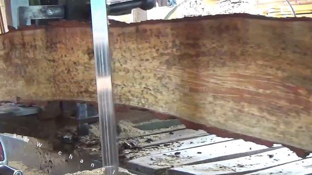 ganasnya predator bandsaw 42 siap menggergaji kayu berkulit seperti buaya смотреть онлайн