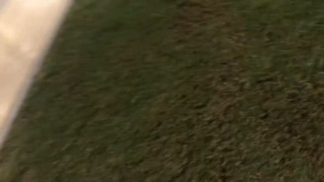 Umbrella ☔️ Beach 🏖 @ Fujairah UAE