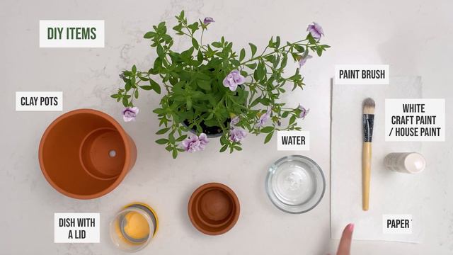 A European Backyard Lunch Table 🪴 | Tablescapes смотреть онлайн