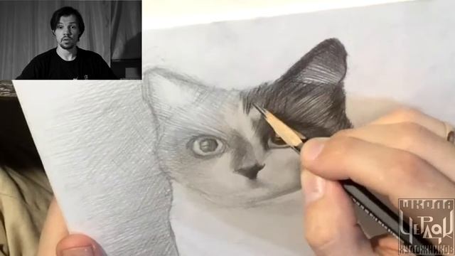 Как нарисовать кошку (простой карандаш) смотреть онлайн