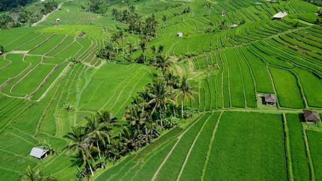 😍These LANDSCAPES Are Incredible! | BALI 4K