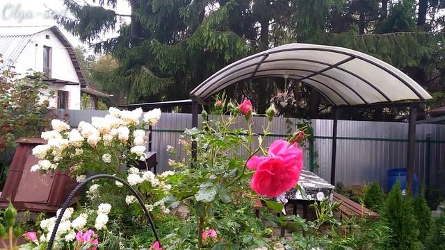 У меня в гостях блогер Татьяна с канала "В гостях у Татьяны" смотреть онлайн