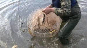 Рыбалка на щук с сетями, фитилями ( мережой, вентерем) . Зарыбление водоема.