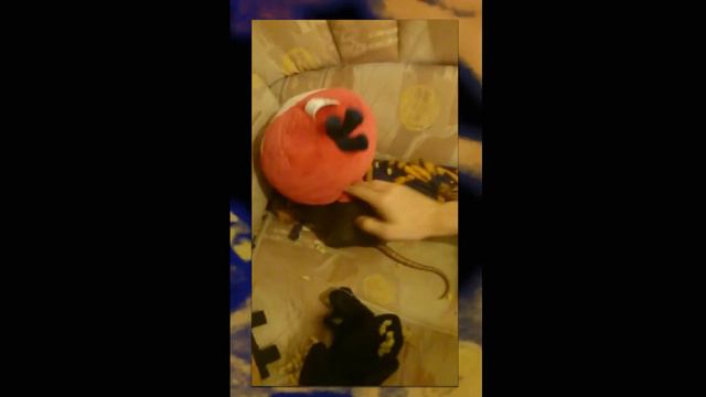 Cам носи свои носки! смотреть онлайн