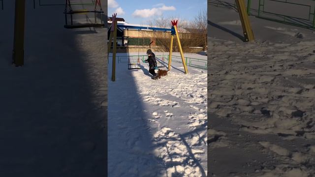 Той пудель смотреть онлайн