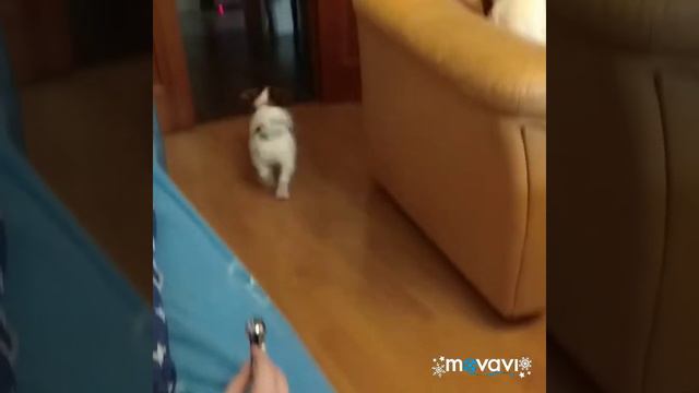 Джес играет смотреть онлайн