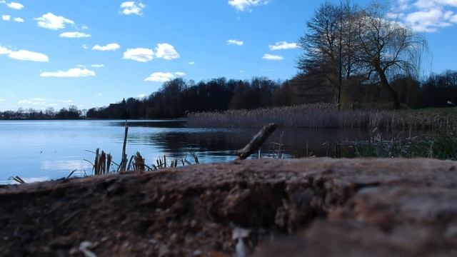 Музыка для отдыха. Классическая музыка. Музыка для сна #Дикаяприрода #Пианино