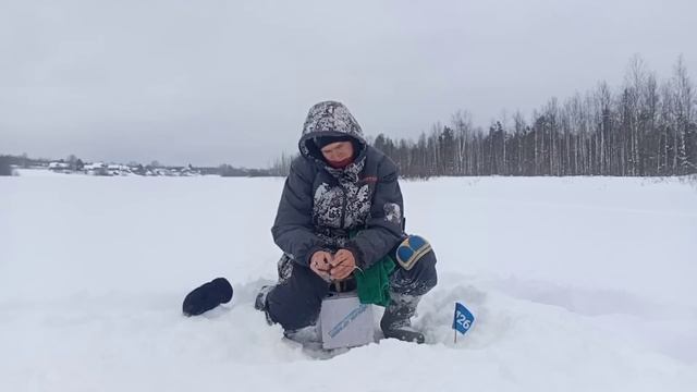 Тут рыбы просто до ХХХ... А мне говорили НЕТУ! К выходным всё сюда! Подготовка к турниру по мормышк