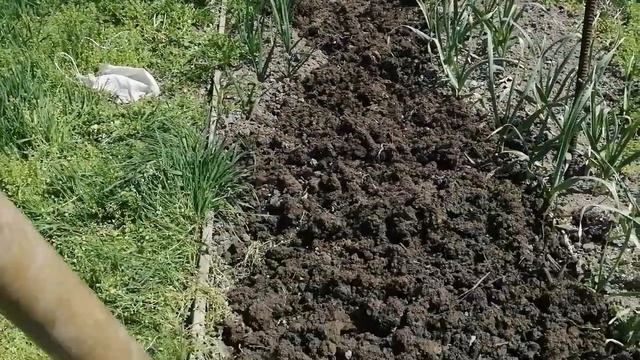 Вобла 2022 года. Лучшая насадка на воблу - выползок.