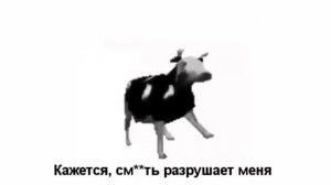 polish cow/ польская корова (русские субтитры)