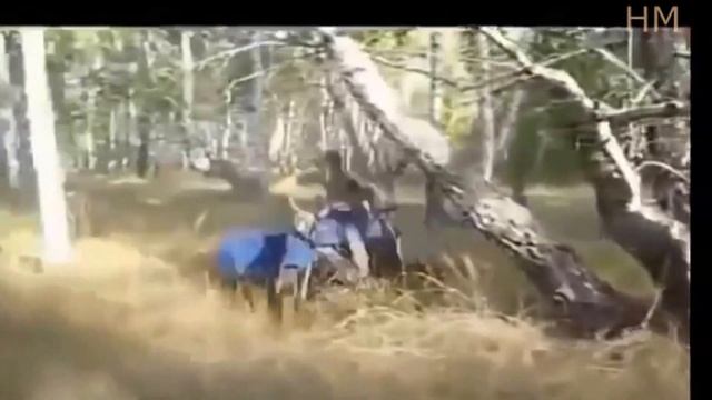 Випуск мото сміху №1 смотреть онлайн