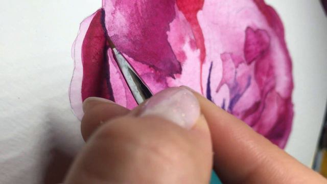 How to draw a peony in watercolor, a visual step by step tutorial peonies for beginners смотреть онлайн