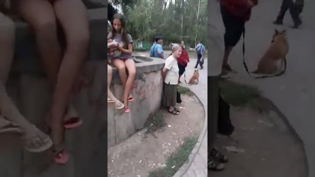 Эта наша жизнь смотреть онлайн