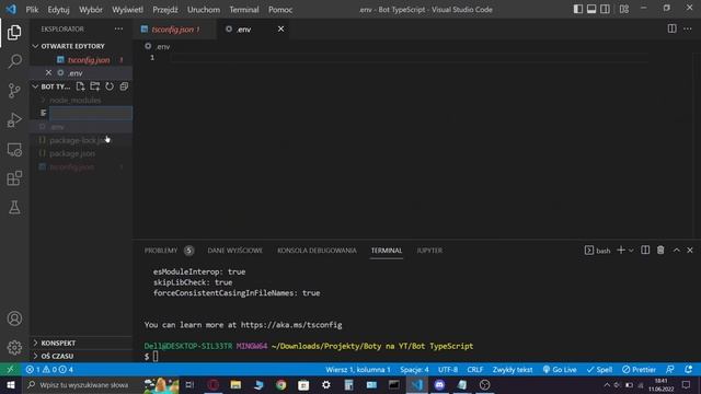 Jak stworzyć bota w TypeScript na discorda? смотреть онлайн