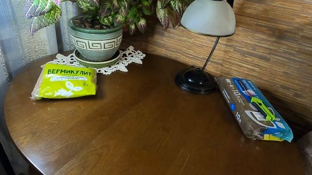 Шикарные контейнеры в Фикс Прайсе для проращивания черенков растений !!!