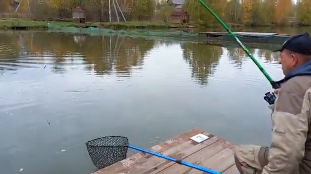 Светлые Горы Форель10 12.10.2022г. смотреть онлайн