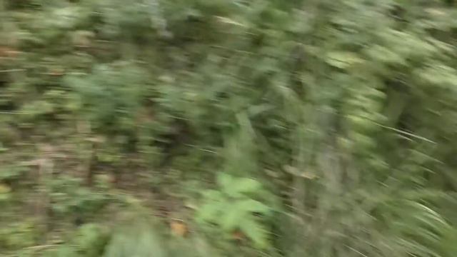 Поведали мне местные аборигены смотреть онлайн