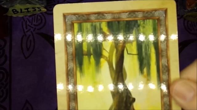 Celtic Tree Oracle Flip Through, Witchcraft, Spells, Tarot, Oracle, Divination смотреть онлайн