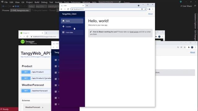 2 Blazor WebAssembly, настройки запуска в Visual Studio и файла Appsettings.