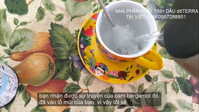 Herbal Tea Collection doTerra (Bộ sưu tập Trà Thảo Mộc) смотреть онлайн