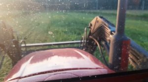 Мульчируем сидераты,вика,рож и смесь трав