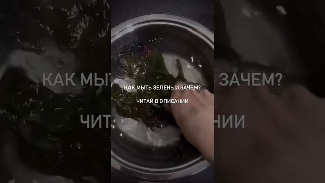 Как мыть зелень и зачем в комментариях смотреть онлайн