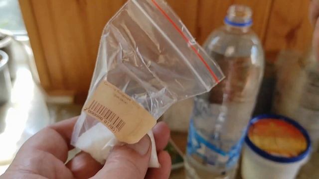 Рассада перца, баклажана, томатов после пикировки. Полив рассады после пикировки. смотреть онлайн