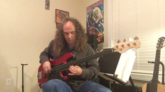 Fender Squier Precision With All Parts Fretless Neck смотреть онлайн