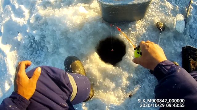 Проверка крючков и ловлю живцов 29 10 2020 смотреть онлайн