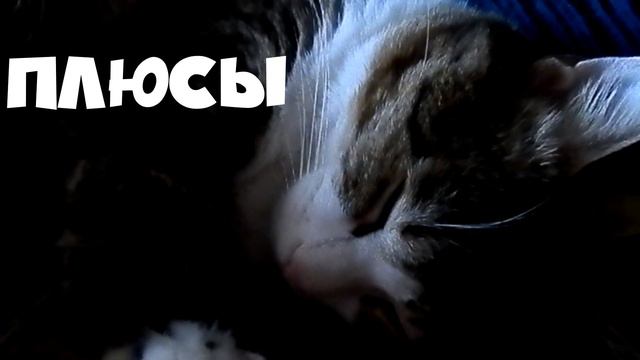 УЛУЧШЕНЫЙ обзор//Nerf RIVAL|| Кронос смотреть онлайн