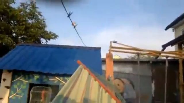 Передвижной гамак и ускоренный нагрев бассейна смотреть онлайн