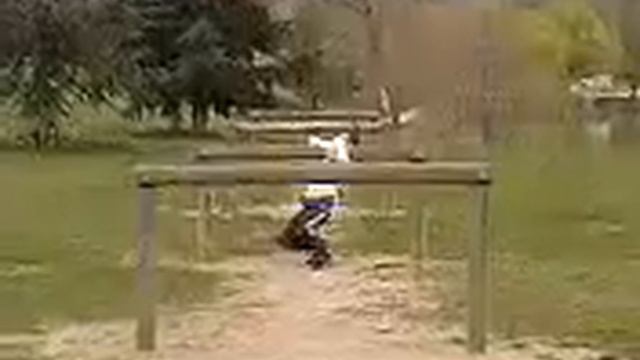 tralala tsoin tsoin смотреть онлайн