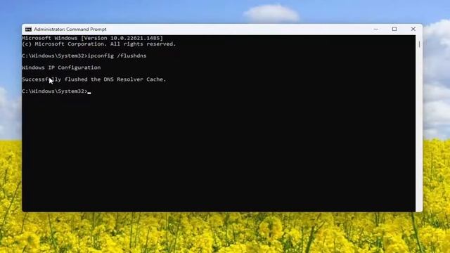 Internet Connection Time Out or No Internet Connectivity Error in Google Chrome [FIX] смотреть онлайн