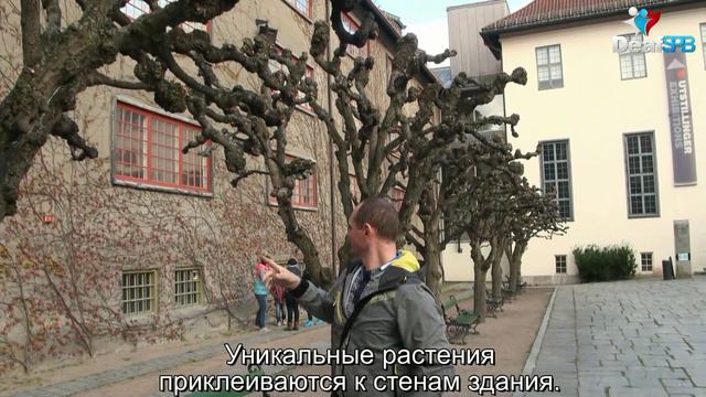 Норвежское растение (DeafSPB) смотреть онлайн