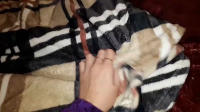 Плед с рукавами и клетчатый плед AVON - заказ по 15 каталогу смотреть онлайн