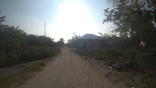 Занзибар африканская деревня голодные дети гопники и барыги смотреть онлайн