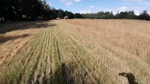 Часть 1. Уборочная в Беларуской  глубинке 2022г, зерноуборочный комбайн СК-5 нива, жизнь в деревне.