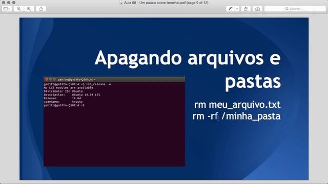 Aula 08 - Ubuntu Linux / Um pouco sobre terminal смотреть онлайн