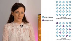 МЕМБРАННЫЙ ТРАНСПОРТ: Активный и Пассивный, Диффузия, Ионные Каналы, Белки-транспортеры || СТУДЕНТА