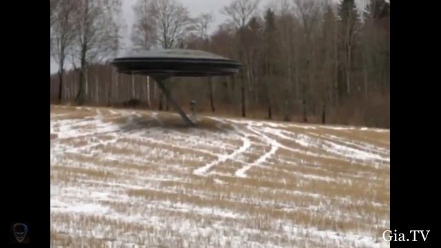 Пришелец в лесу - UFO Видео космического корабля смотреть онлайн