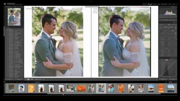 Negative Lab Pro 2.3 Tutorial - Matching Lab Scans