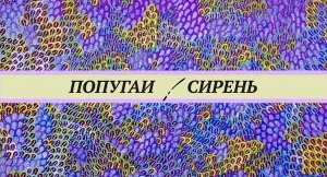Сирень для попугаев. Цветы, семена, листва, кора. Сколько давать. Опасна ли сирень для птиц.
