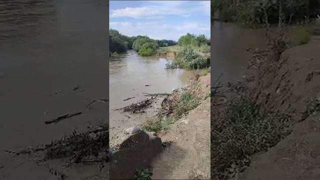 Паводка реки Акташ 25.07.23 смотреть онлайн