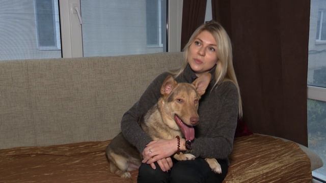 ПОДАРИ ДОМ ПИТОМЦУ.РЫЖИК, 9 МЕСЯЦЕВ смотреть онлайн