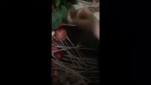 Как сделать букет из фруктов.Овощной букет. смотреть онлайн