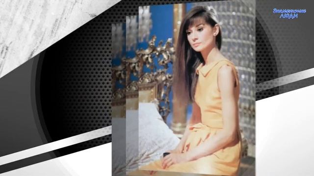 Такими Вы их ещё не видели, 20 ретро-фотографий звезд смотреть онлайн