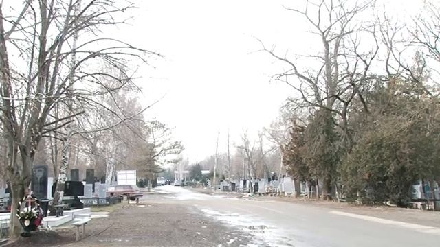 Без согласования на кладбищах Армавира нельзя сажать деревья и строить навесы