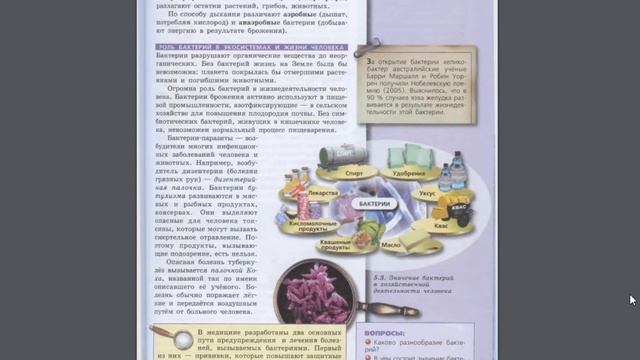 Биология (Л.Н.Сухорукова) 7к §49 Царство Бактерии смотреть онлайн